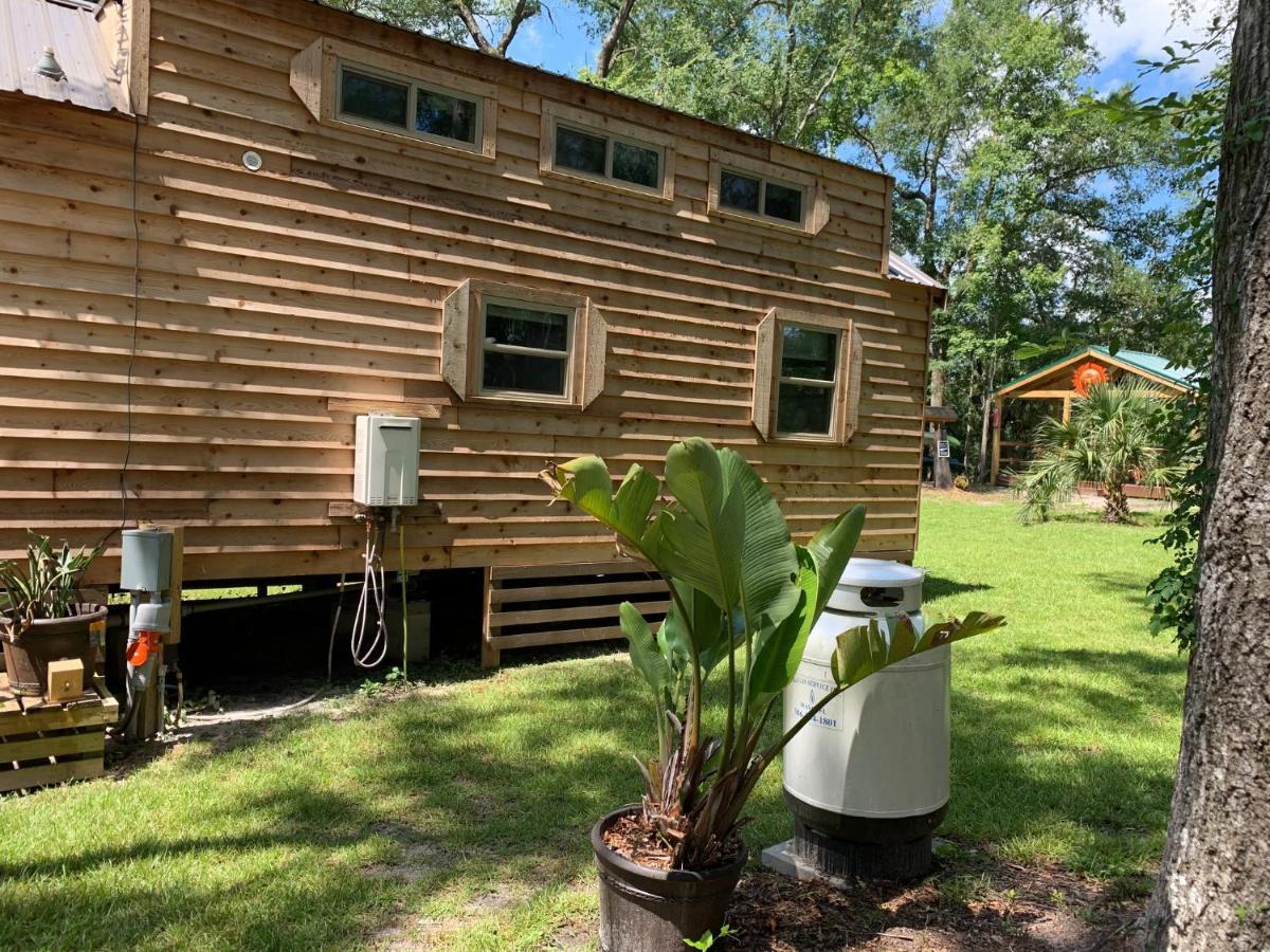 The Suwannee River Hide-A-Way Mayo Exteriér fotografie