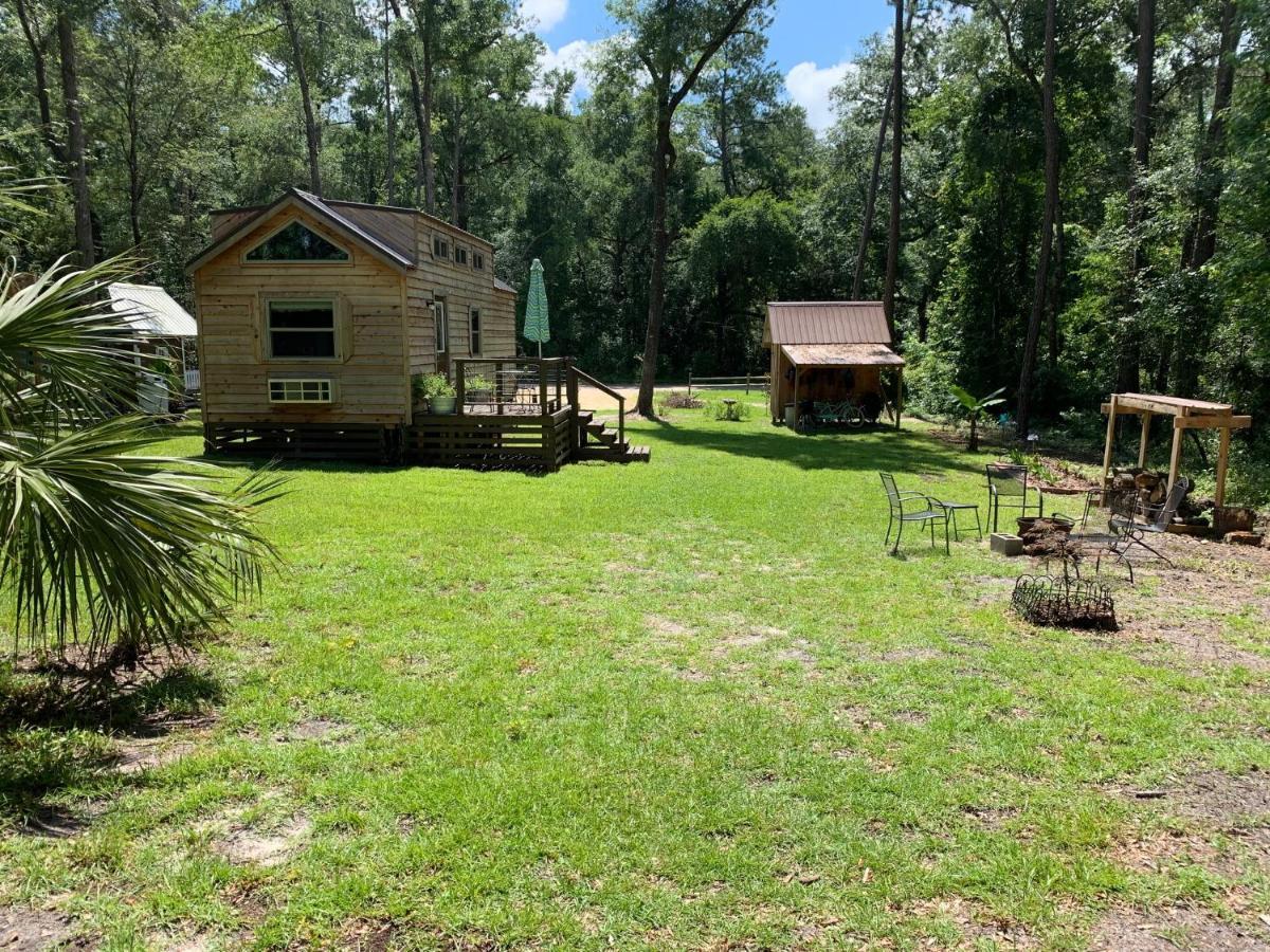 The Suwannee River Hide-A-Way Mayo Exteriér fotografie